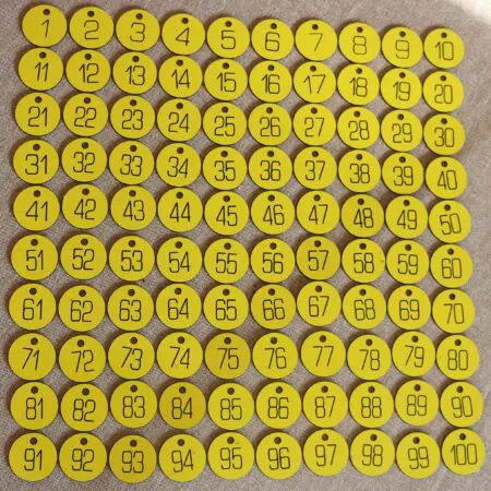 Set of 100x3cm CNC Engraved Number Discs, Table, Tags, Locker, Restaurant,Clubs
