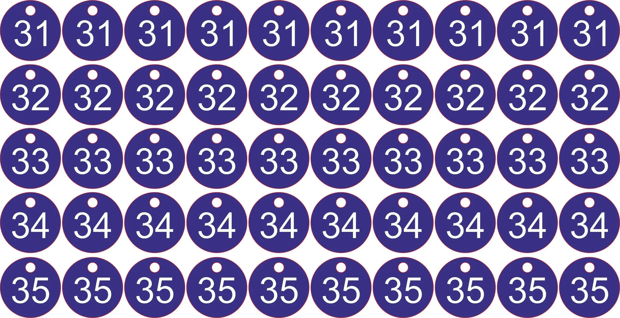 Set of 50x3cm Laser Engraved Number Discs, Table, Tags, Locker, Restaurant,Clubs